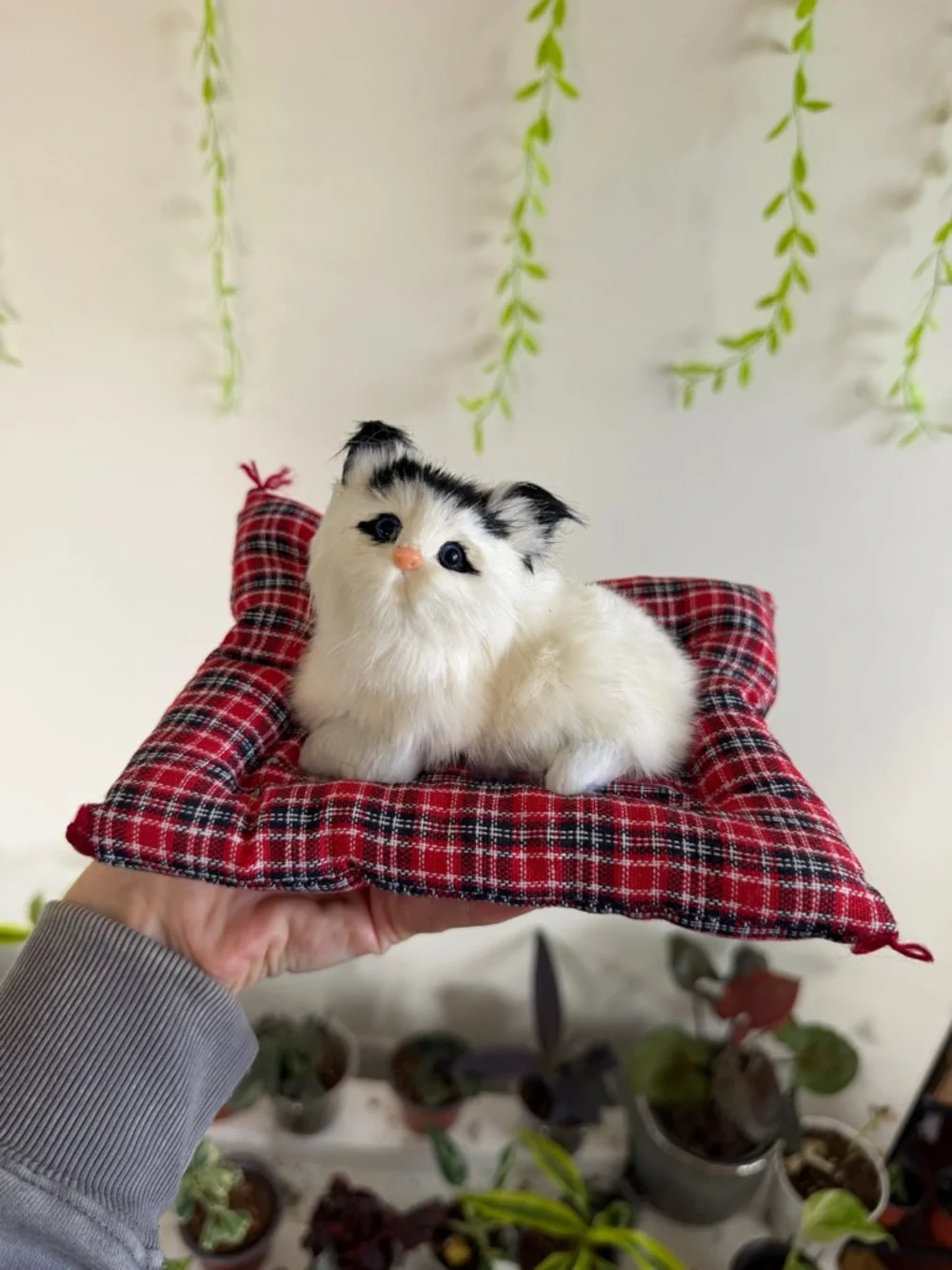 Plush Small Pet Bed with White Fluffy Cat figurine